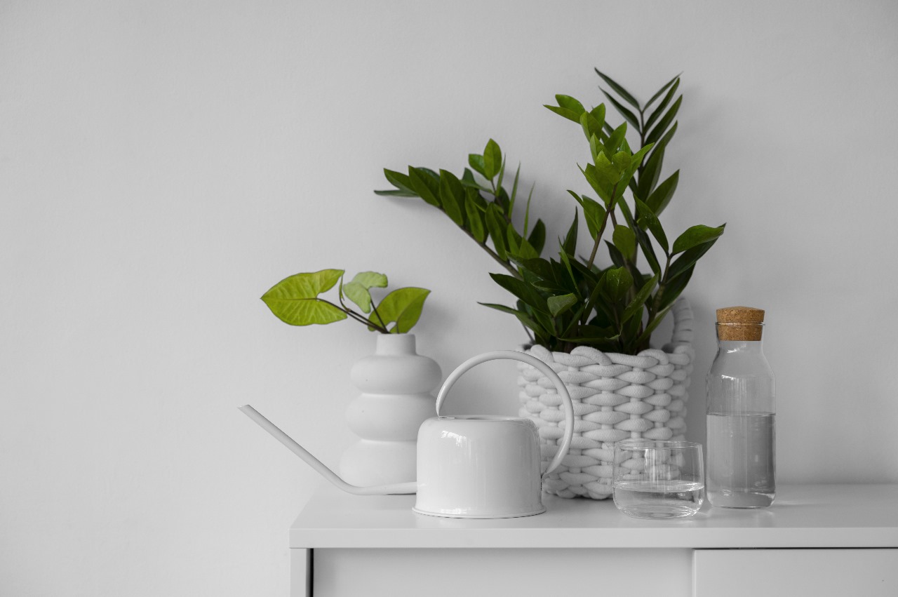 Evoke by Truelife Innovations